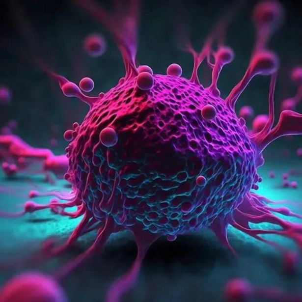 Terapia metronomica
