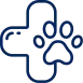 Equipe di Oncologia veterinaria a Roma - Percorsi oncologici personalizzati
